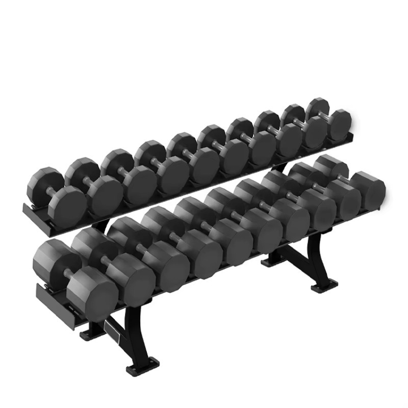 2단 10쌍 덤벨 보관 랙, 근력 운동 피트니스 장비, - Heavy Equipment Storage 리뷰 및 가격